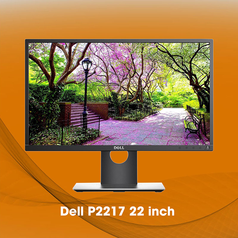 Dell P2217 22 inch