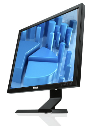 LCD Dell E190S