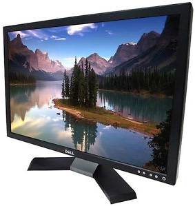 LCD DELL E248wfp
